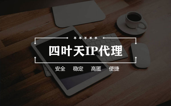 【东营代理IP】如何快速搭建代理IP？怎么检查代理的效果？